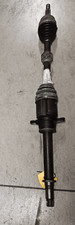 K05105660AG Semialbero ant