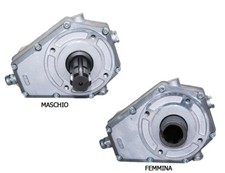 BORELLI OLEODINAMICA MOLTIPLICATORE GIRI GRUPPO 2 MASCHIO/FEMMINA RAPPORTO 1:3