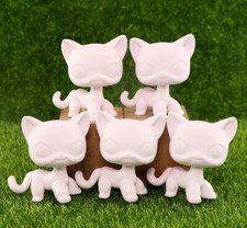 5pcs White Shorthair Cat Base
