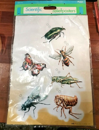 Poster rilievo scientific - rilievo,