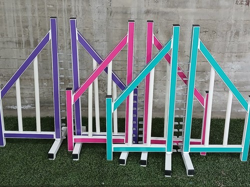 Set dog agility vinyl - 3,