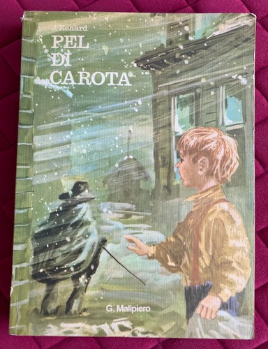 Pel carota renard - carota,