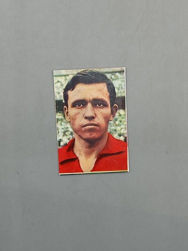 Figurina coppa rimet 1966 - figurina,