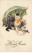 Gatti Al#AL00573 Gatto Sotto