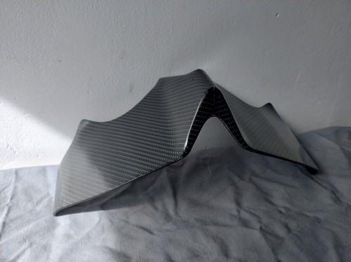 Spoiler speed triple 2004 - speed,