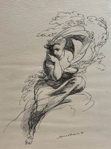 Bruno arcevia china - bruno,