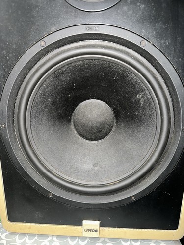 Coppia woofer canton - coppia,