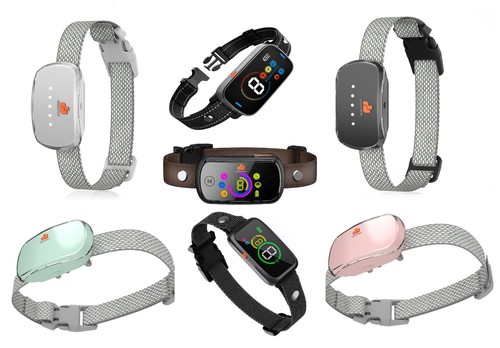 Collare per cani smart - cani,