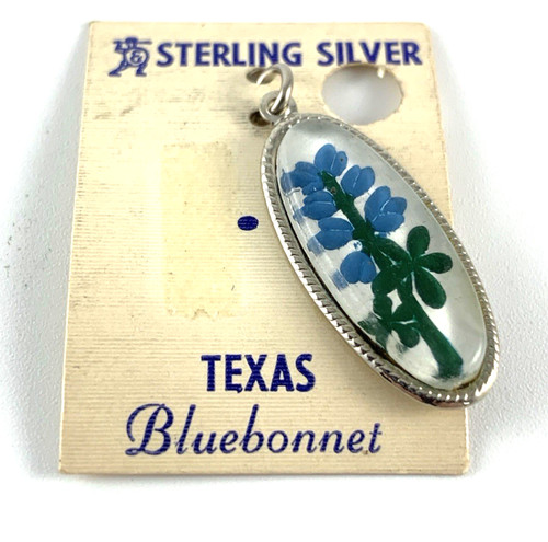 Charm bluebonnet in - bluebonnet, (texas)