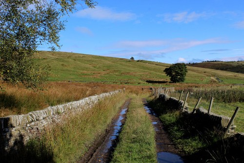 Photo 6x4 track below - photo, hunter