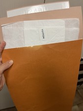 Busta Sacchetto Louis Vuitton