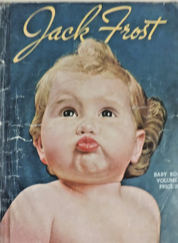 Libro per bambini jack frost - jack,