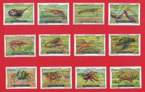 Poster stamps crustaceans - poster,