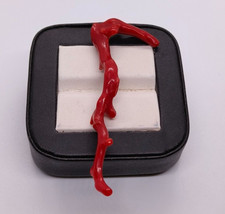 Antichi rami di corallo marino