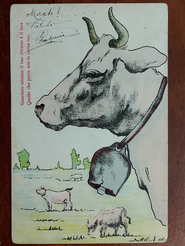 Corna bue comica umoristica - "corna,