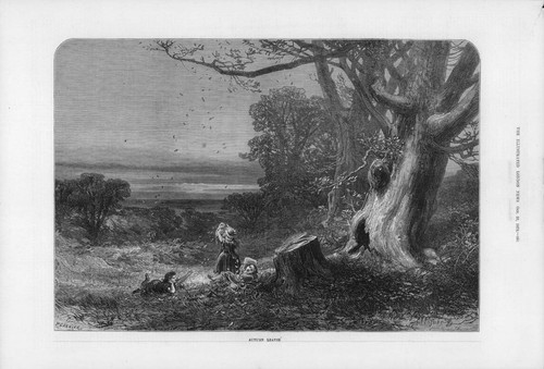 1873 belle arti stampa antica - belle,