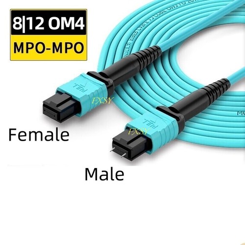 100m mpo maschio - 1-100m,