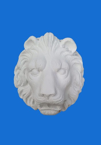 Bassorilievo gesso testa - gesso, -testa