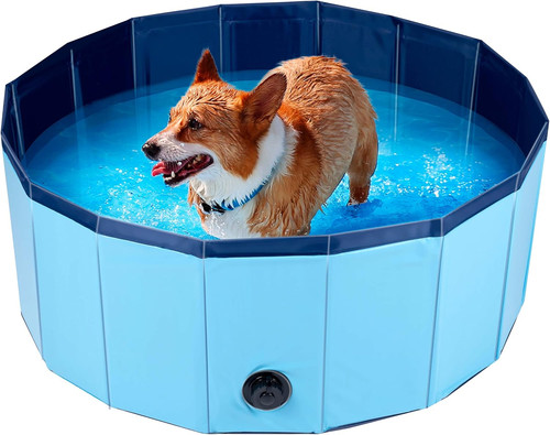 Piscina per cani pieghevole - cani,