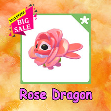 Rose Dragon 🔥 PET NUOVO