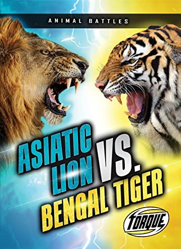Asiatic lion bengal - bengal, tiger