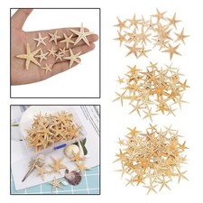 Stelle marine essiccate