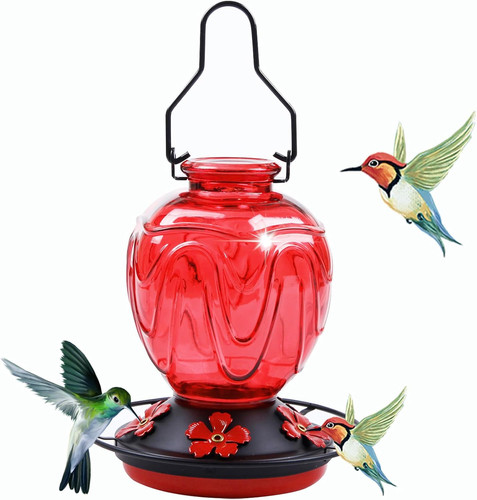 Mangiatoia per colibrì - , in