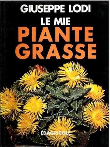Mie piante grasse giuseppe - le,