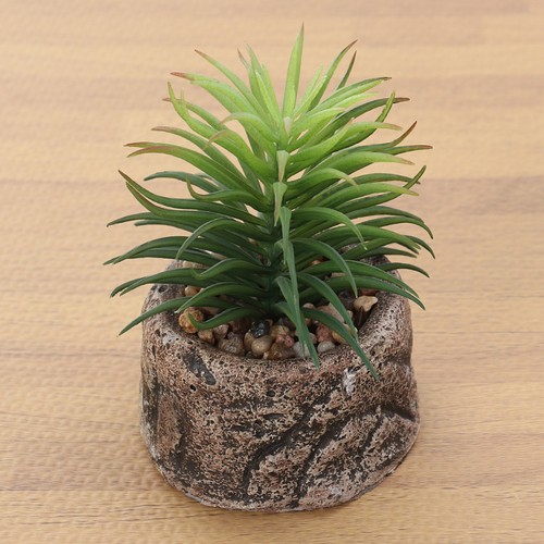 Bonsai finto piante grasse - finto,
