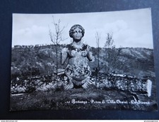19980) VITERBO BOMARZO PARCO