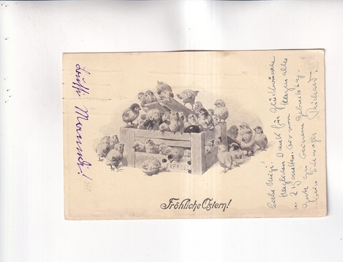 F5234 cartolina allegra - f5234),