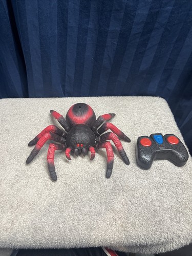Terra battat spider - terra,
