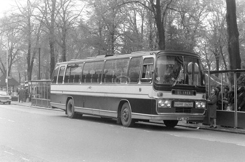 Photo whippet coaches - photo,
