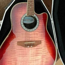 Chitarra elettrica acustica