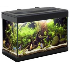 Acquario MTB  Aloha 40 Ledline