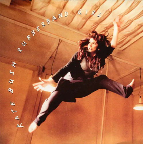 Picture disc kate bush - disc,