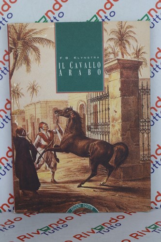 Klynstra il cavallo arabo - f.b.,