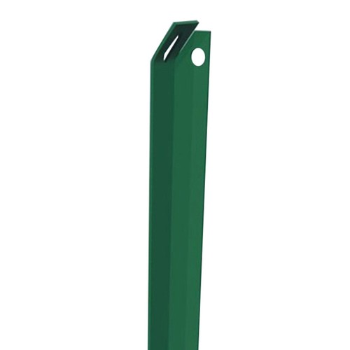 Verdelook saetta ferro - verdelook, in