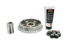 VARIATORE MALOSSI 5116230