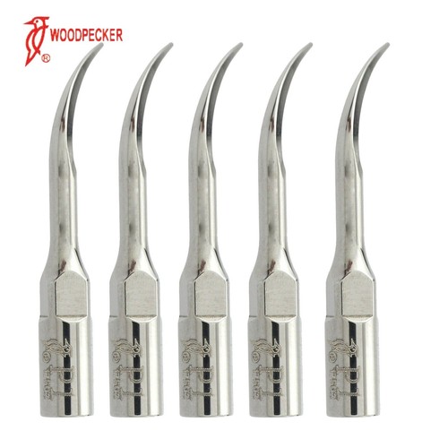 Punta scaler zeg tip - 5x,