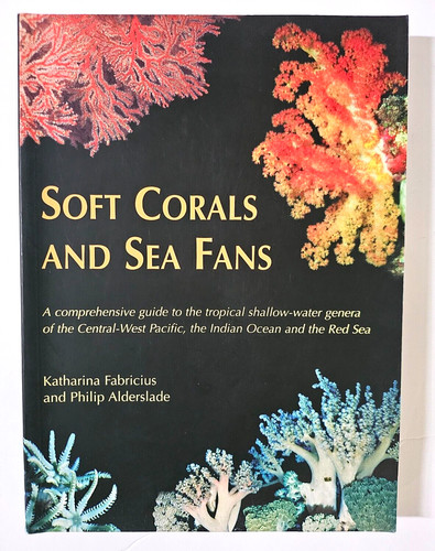 Soft corals and sea fans - soft,