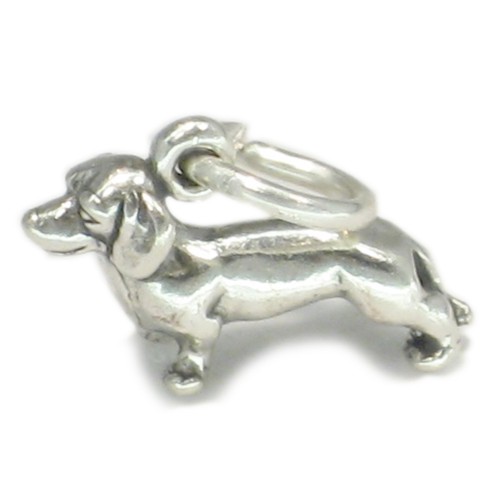 Daschund bassotto cane - bassotto, argento