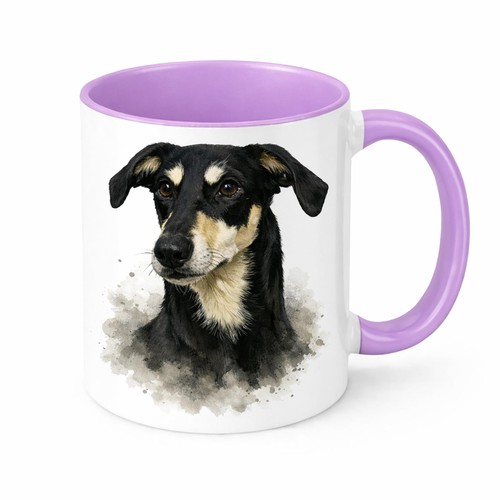 Tazza saluki greyhound - tazza,