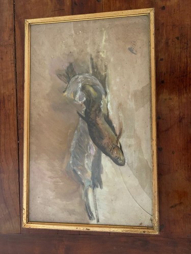 Pisis pesce sul banco - sul, della