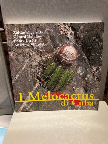 Melocactus cuba - il,