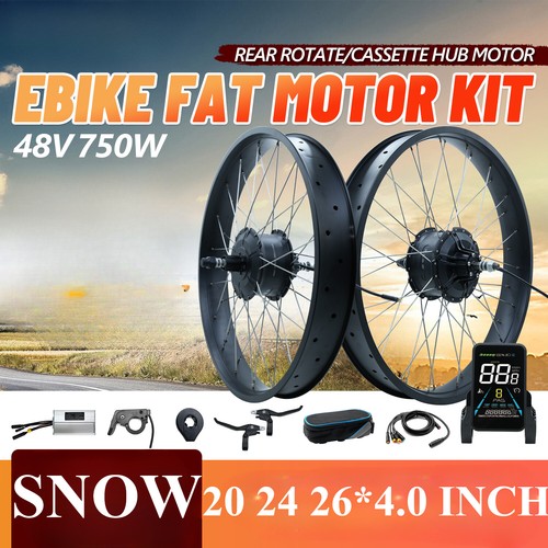 Bici elettrica neve 48v - elettrica,