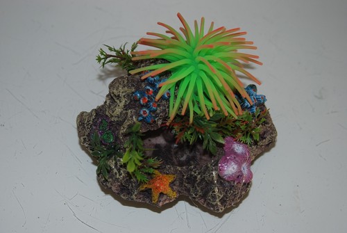 Acquario reef anemone - acquario,