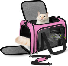 Trasportino per Gatti