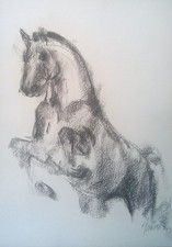 Quadro "Cavallo" carta 42 x 30