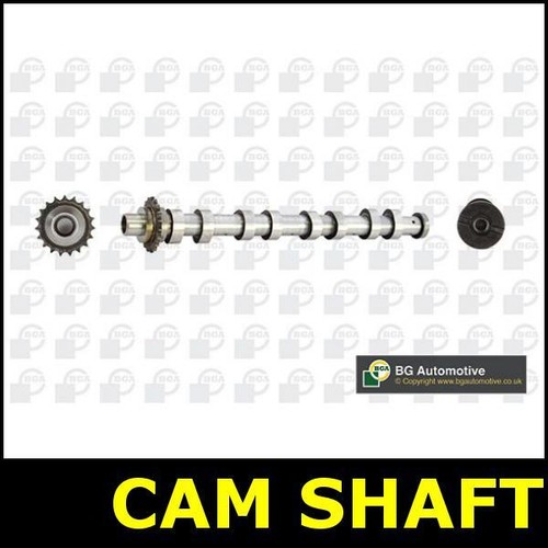 Albero camme lato scarico - camme,